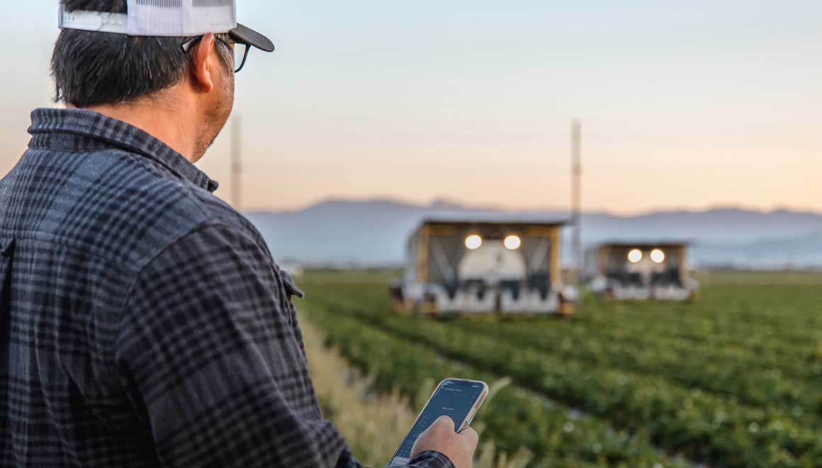 Image of a strawberry farmer using Advanced Farm BetterPick Strawberry harvester.